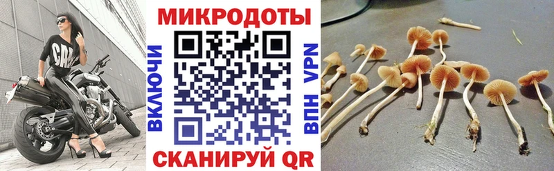 Галлюциногенные грибы ЛСД  Гусь-Хрустальный 
